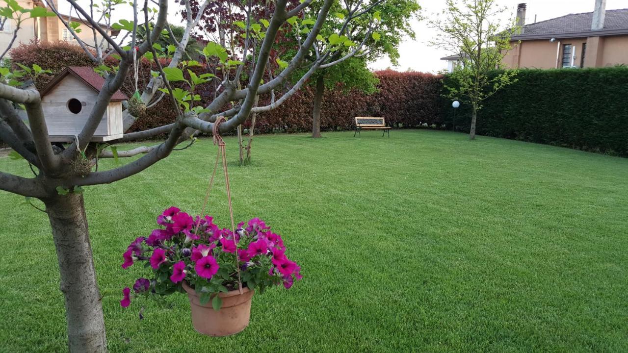 Bed and Breakfast Il Farfasole Vigonovo  Exterior foto